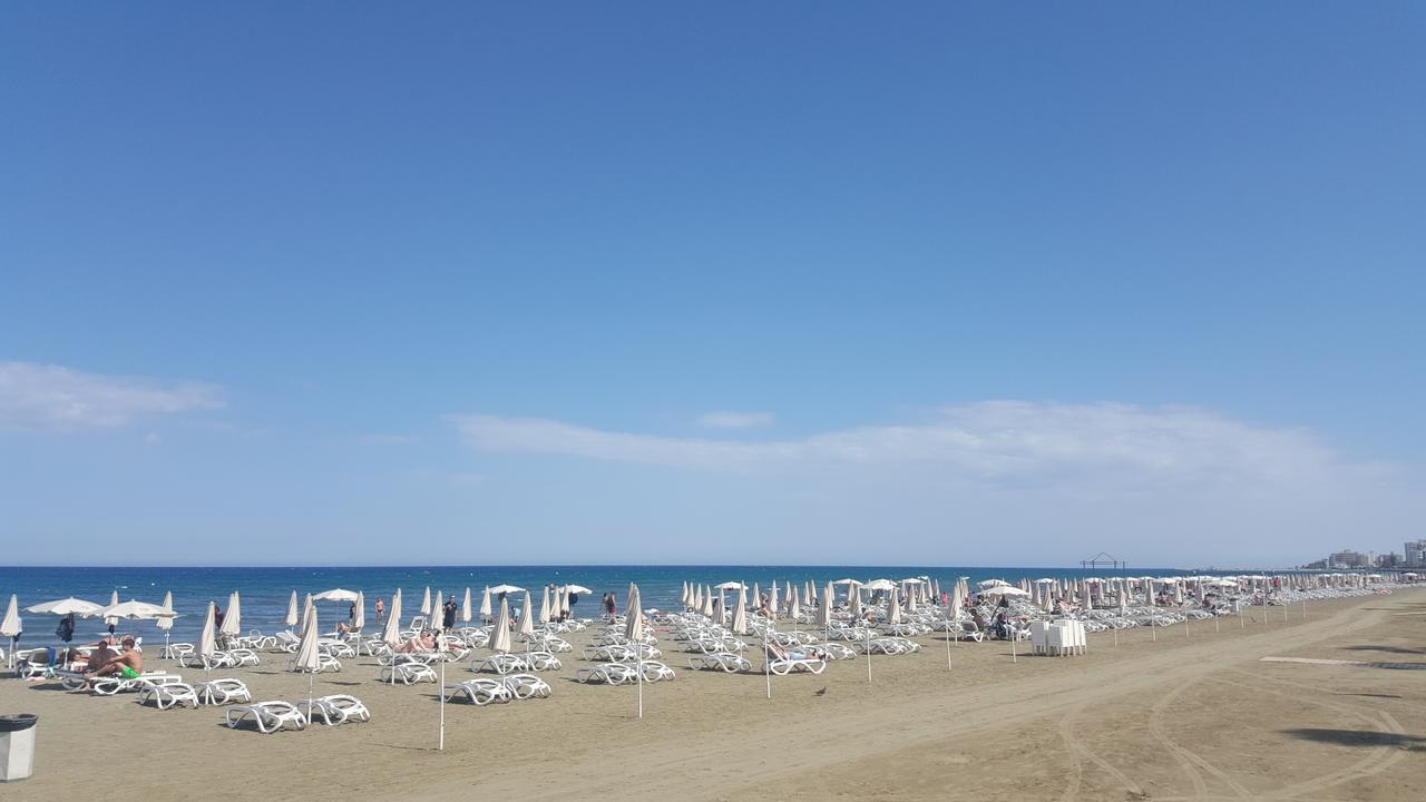 Apartman Alex 33